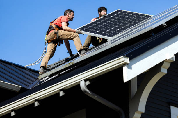 Best Roof Moss and Algae Removal  in Wellington, UT